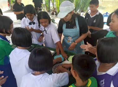 เมื่อวันที่ 20 มกราคม 2569 นางสาววิลาวัลย์ แก้วเกาะสะบ้า ... พารามิเตอร์รูปภาพ 33